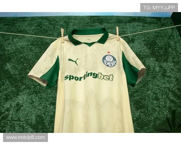 2025年全球足球球衣设计排名解析 各大俱乐部与国家队新款球衣亮点评比